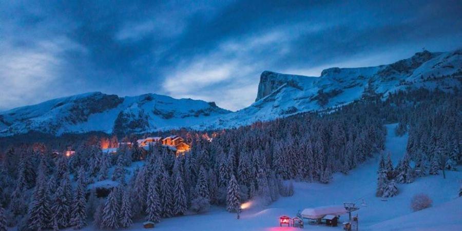Cosy 5 Personnes Aux Pieds Des Pistes. Apartment *